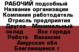 РАБОЧИЙ подсобный › Название организации ­ Компания-работодатель › Отрасль предприятия ­ Другое › Минимальный оклад ­ 1 - Все города Работа » Вакансии   . Амурская обл.,Благовещенск г.